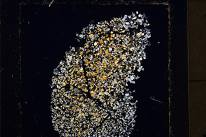 Cross Polarized, E25089