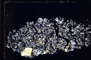 Cross Polarized, E25094