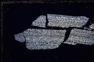 Cross Polarized, E25104