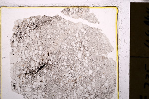 Plane Polarized, E25111