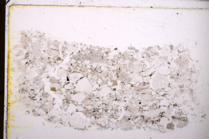 Plane Polarized, E25118