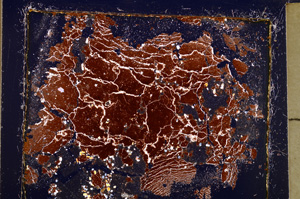 Cross Polarized, E25135