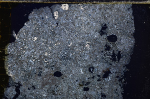 Cross Polarized, E25162