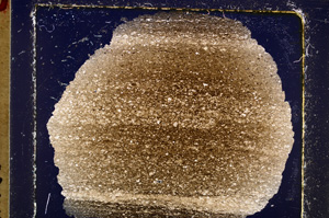 Cross Polarized, E25238