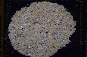 Cross Polarized, E25240