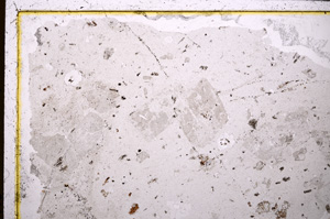 Plane Polarized, E25243