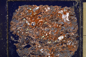 Cross Polarized, E25287