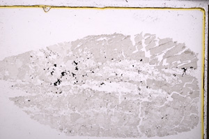 Plane Polarized, E25357/A