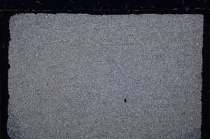 Cross Polarized, E25418
