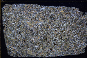 Cross Polarized, E25452