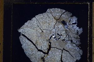 Cross Polarized, E25469