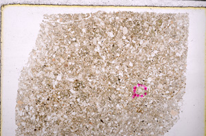 Plane Polarized, E25472