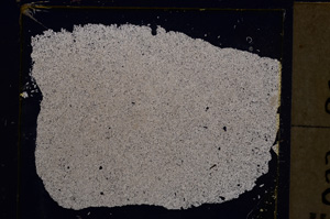 Cross Polarized, E25489