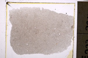 Plane Polarized, E25489