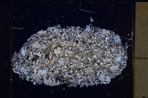 Cross Polarized, E25490