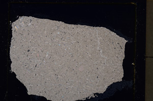 Cross Polarized, E25491