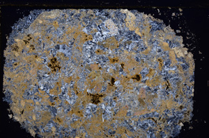Cross Polarized, E25501