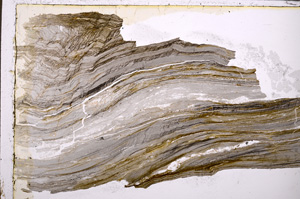 Plane Polarized, E25507