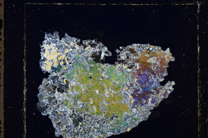 Cross Polarized, E25552