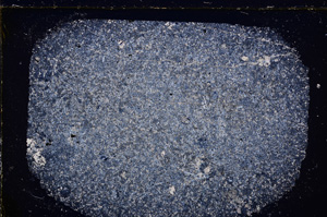 Cross Polarized, E25556