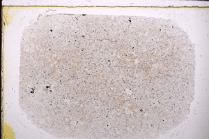 Plane Polarized, E25556