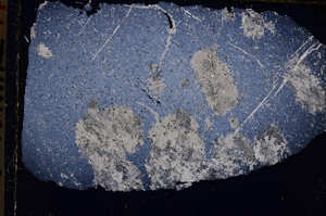 Cross Polarized, E25557