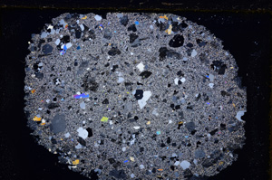 Cross Polarized, E25559