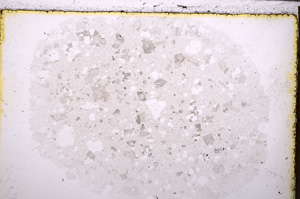 Plane Polarized, E25559