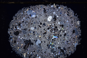 Cross Polarized, E25560