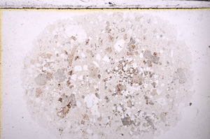 Plane Polarized, E25560