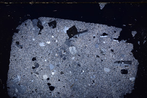 Cross Polarized, E25561