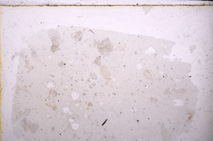 Plane Polarized, E25561