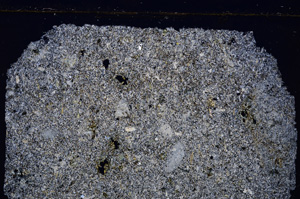 Cross Polarized, E25563