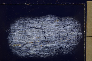 Cross Polarized, E25567