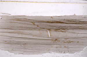 Plane Polarized, E25568