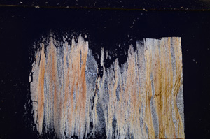 Cross Polarized, E25569