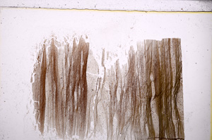 Plane Polarized, E25569