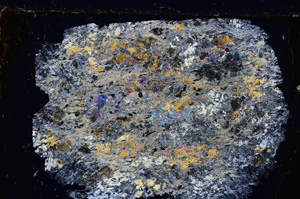 Cross Polarized, E25571