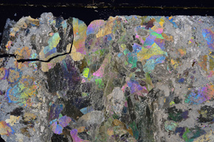 Cross Polarized, E25572