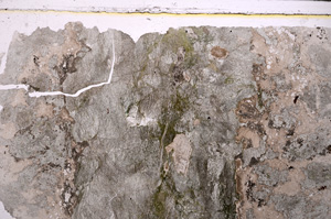 Plane Polarized, E25572