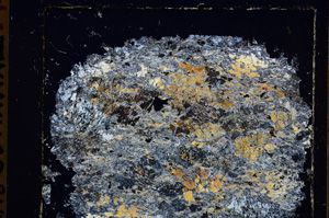 Cross Polarized, E25573