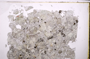 Plane Polarized, E25574