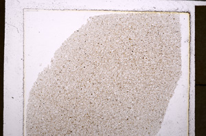 Plane Polarized, E25582