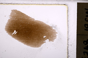 Plane Polarized, E25631