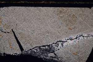 Cross Polarized, E25634