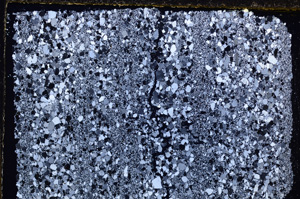 Cross Polarized, E25635