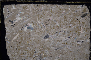 Cross Polarized, E25642