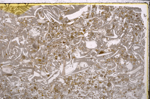 Plane Polarized, E25643