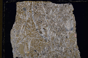 Cross Polarized, E25645