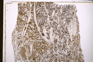 Plane Polarized, E25645